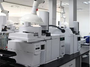 普研引領技術創新，上海標準技術服務助力產業升級